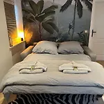 Moderne 50 Qm Monkey
