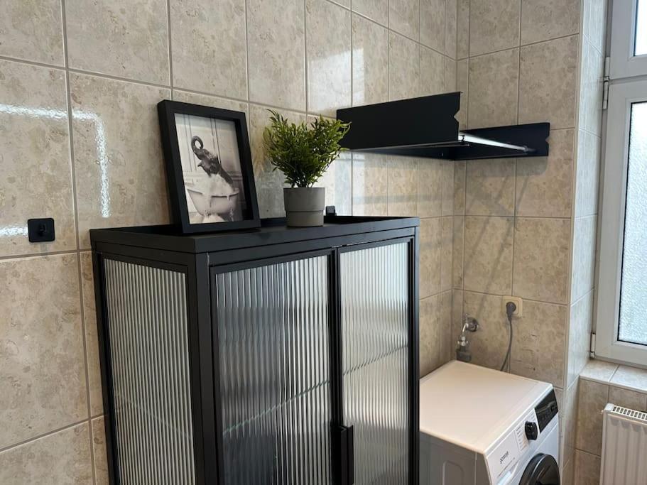 Apartment Moderne 50 Qm Monkey Rostock