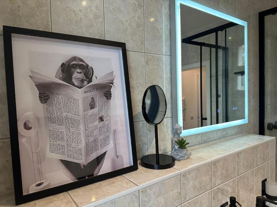 Moderne 50 Qm Monkey Apartment *